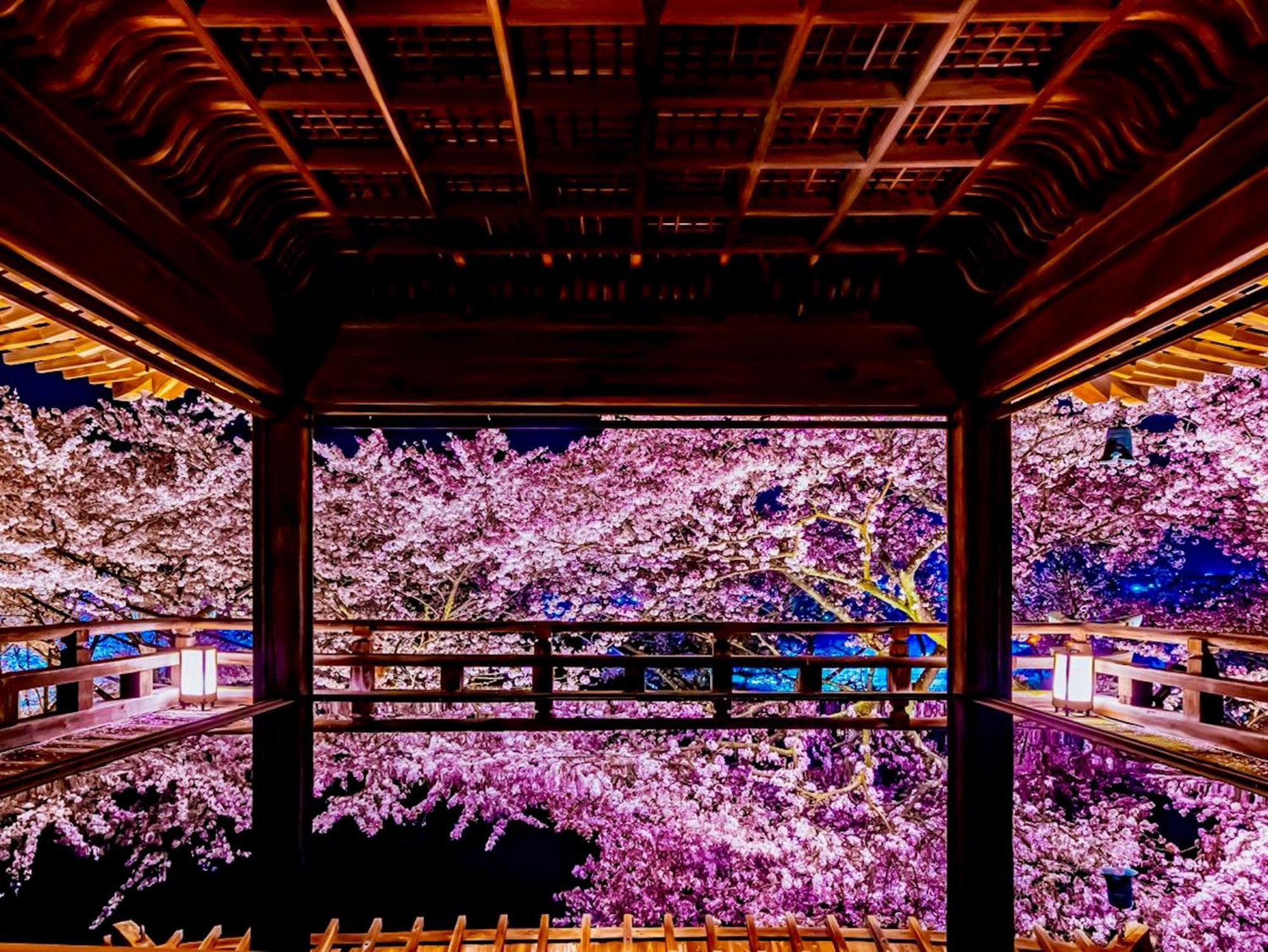 Koke Musu Inn Ōtsu Exteriör bild